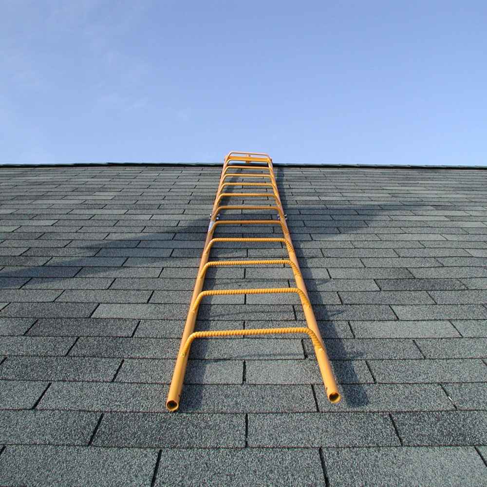 6 ft. Chicken Ladder Badger Ladder